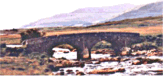 OPPORTUNITIES_img1.gif